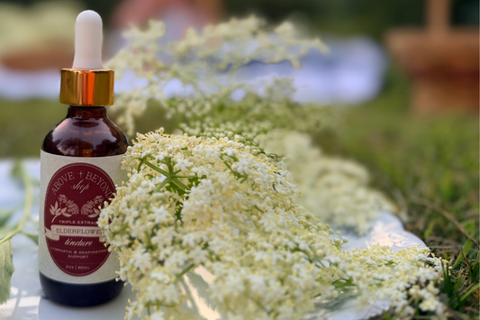 Before There Was Elderberry, There Was Elderflower