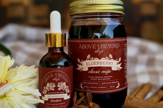 Elderberry and Blood Sugar: What Early Research Suggests