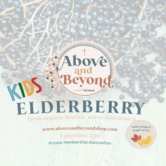 KIDS Organic Elderberry Syrup (honey free)