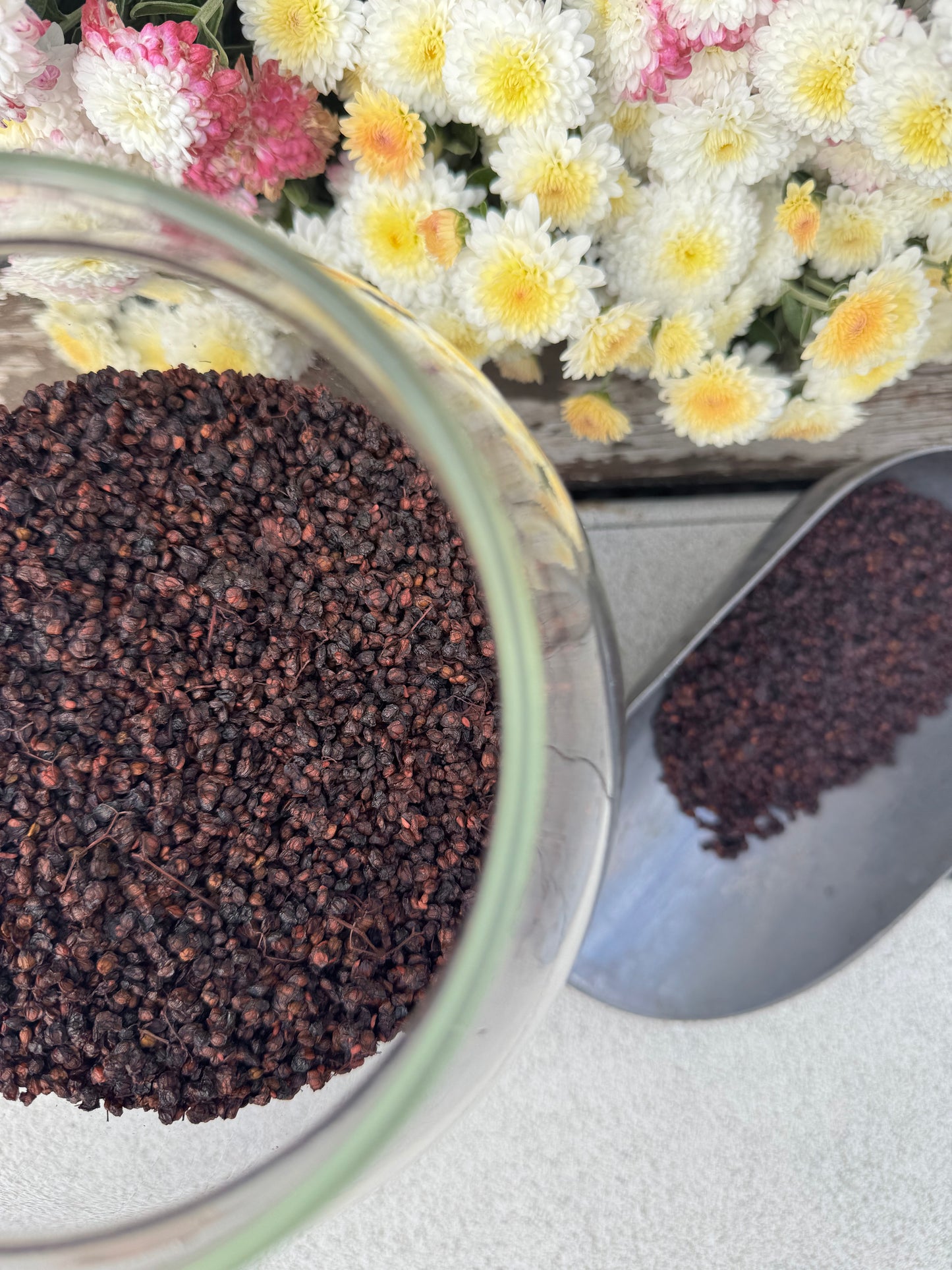 Organic Elderberry Pomace