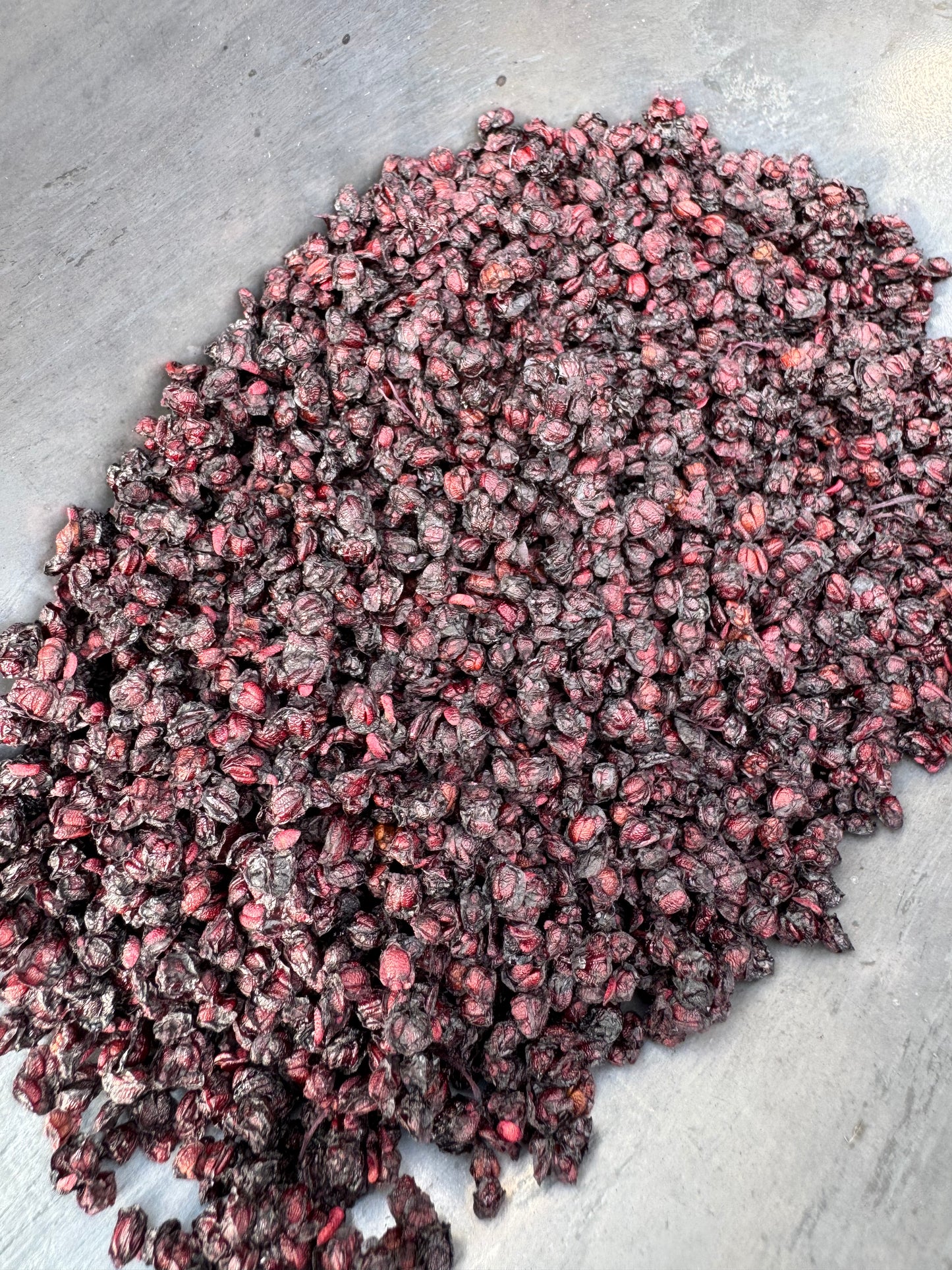 Organic Elderberry Pomace