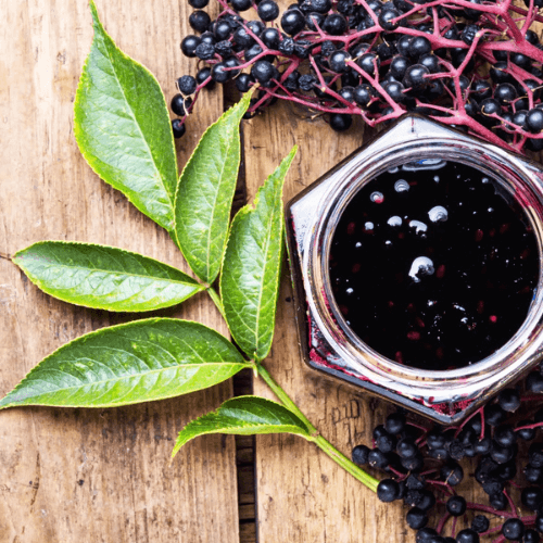 A glass jar full of mashed organic elderberries sitting on a wood table, surrounded by raw elderberries and a green leaf, our main ingredient in making the best elderberry syrup recipe to ward off cold and flu season.