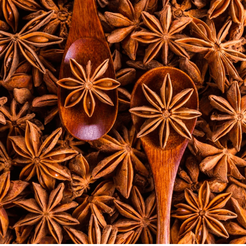 A cluster of organic whole star anise with two wooden spoons set aside to fresh- and cold-press the best elderberry syrup recipe in small batches every month.