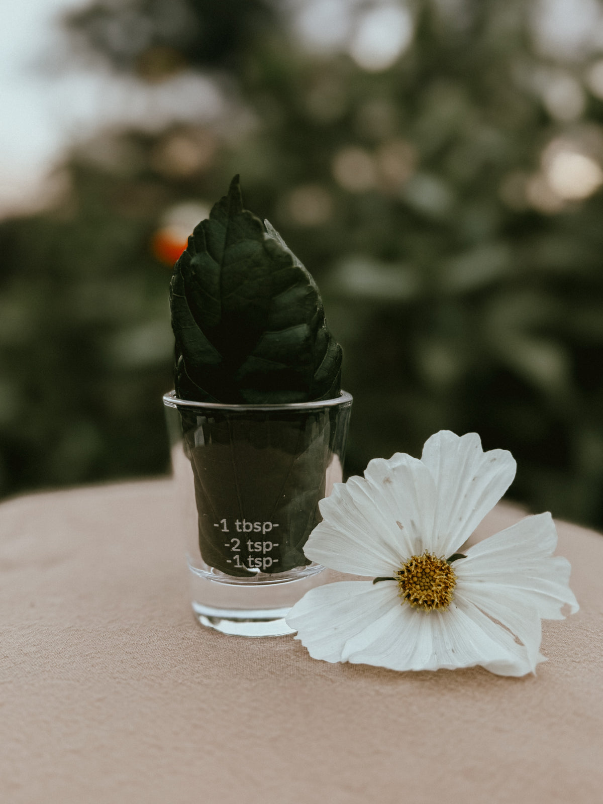 A small clear glass shot glass filled with dark green leaves, placed on a beige surface next to a white flower, with a blurred green outdoor background.